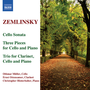 Cello Sonata in A Minor:III. Allegretto