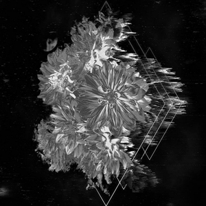 bride of the monster