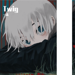 Twig-领悟（翻自 れい）