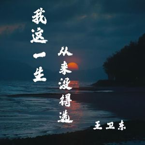 我这一生从来没得选