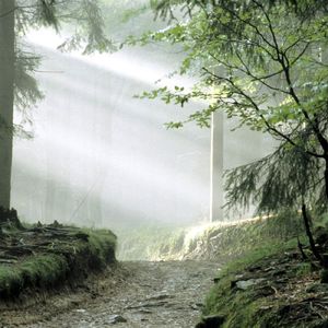 别把寂寞当缘分