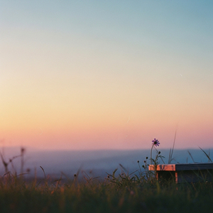 여름 편지
