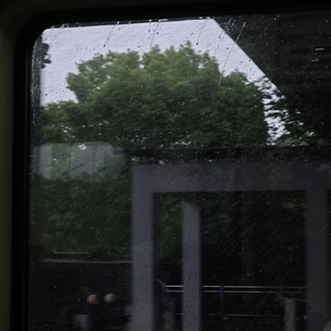 她像春叶缥缈日