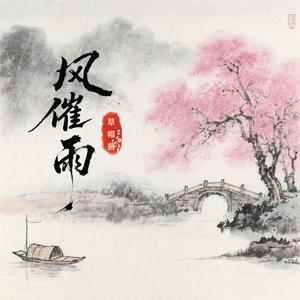 风催雨2025(DJ阿泽版)