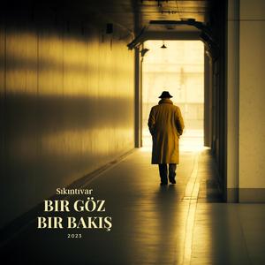 Bir Göz Bir Bakış