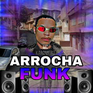 Arrocha Funk das 7 Mulheres