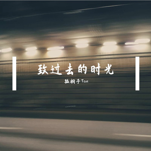 致过去的时光