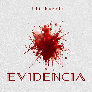 Evidencia