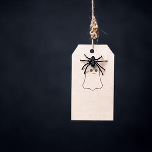 Spiders & Deals