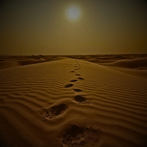 Deserto