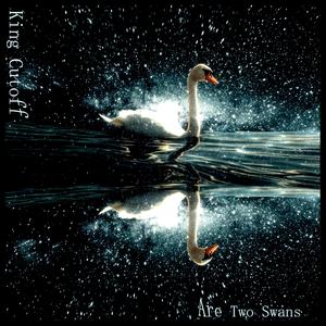 Are Two Swans