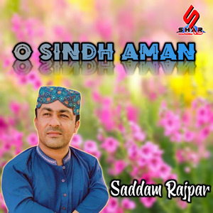 Sann Ja Sain Syed Tunhja Sindh Na Thora Lahendi