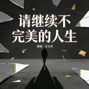 请继续不完美的人生