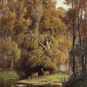 Τα Παιδιά Του Πειραιά《Never on Sunday 》ost