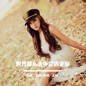 世界那么大还是遇见你（和声伴奏）