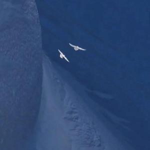 回声（prod by DIVINE)