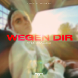 Wegen dir
