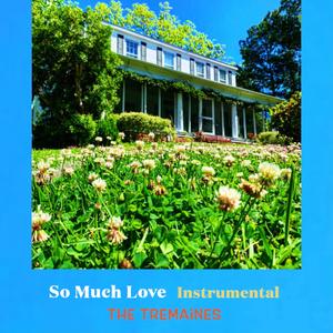 So Much Love (Instrumental)
