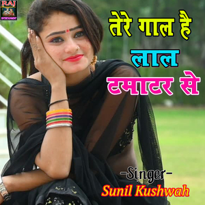 Tere Gal Hai Lal Tamatar Se