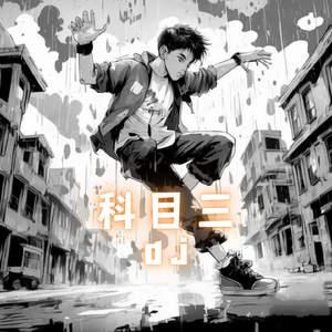 科目三 (DJ版)