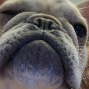 第二人称part.1(prod by 房间里的大象)