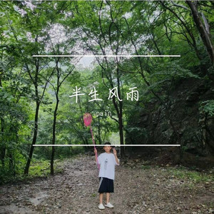 半生风雨