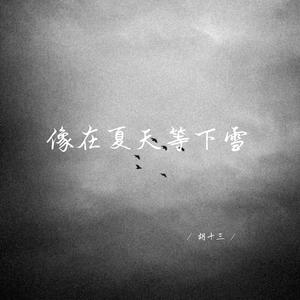 像在夏天等下雪 (深情女生版)