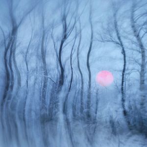 我想要离开这个地方