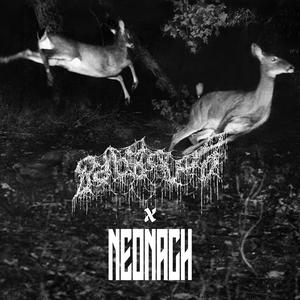 с гор-горы сняжки сыплют (feat. NEONACH)