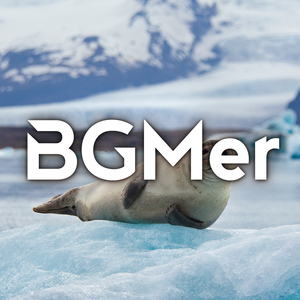 シンキングタイム