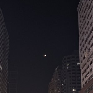 形同陌路何尝不是待我如初