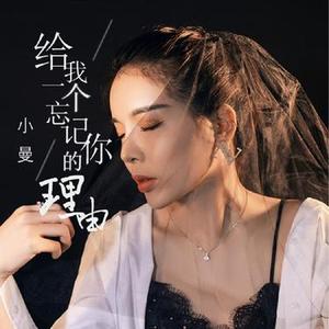 给我一个忘记你的理由 (DJ版)