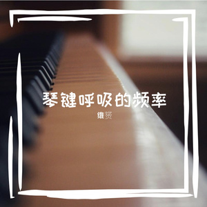 琴键呼吸的频率