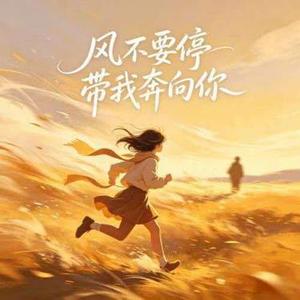 风不要停
