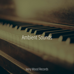 Wake of Phoenix Fire