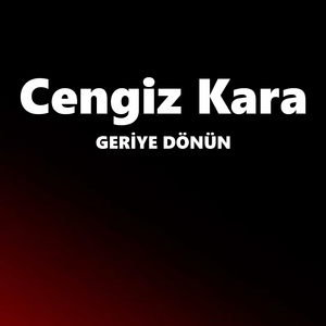 GERİYE DÖNÜN