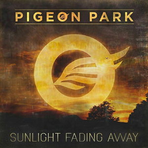 Sunlight Fading Away