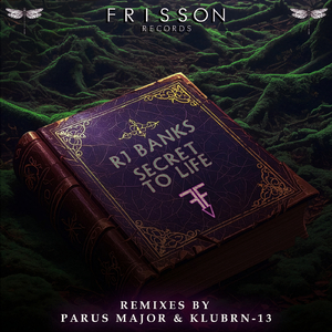 Secret to Life (Parus Major Remix)