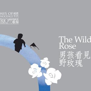 夏日最后的玫瑰