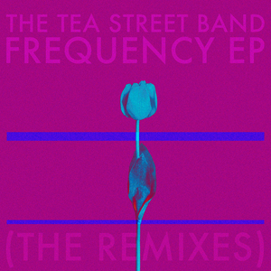 Only Love (Jimi Goodwin Remix)