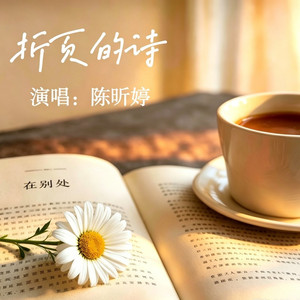 折页的诗