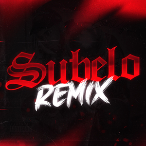 Súbelo (Remix)