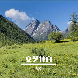 风停于岸