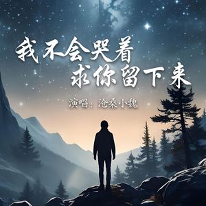 我不会哭着求你留下来