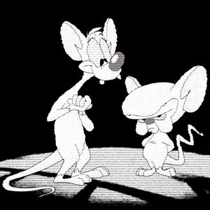 Pinky and the Brain