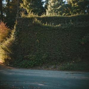 鲁郡尧祠送张十四游河北