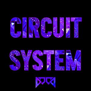 Circuit System