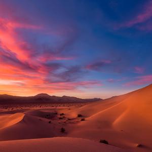 Desert