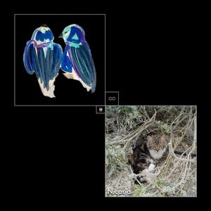 Nicosia (Remastered)