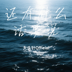 还有什么话要说